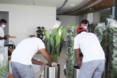 Al Elayis Business Center, Dubai