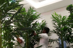 Al Hikma Medical Center abu dhabi, UAE