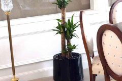 Interiors Furniture RAK